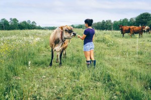 Susannah the cow and Misha the human, photo credit: Melissa Marie Gabriel