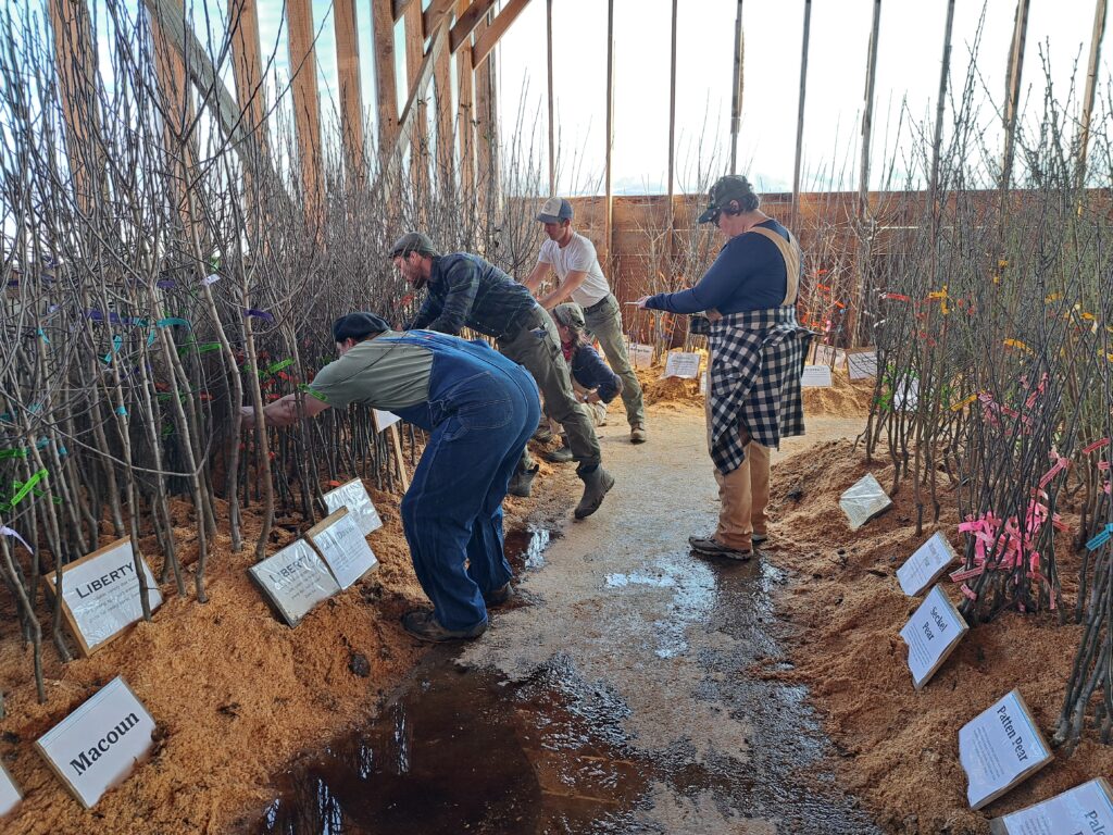 Our tree sale crew making final preparations before opening the sale to the public