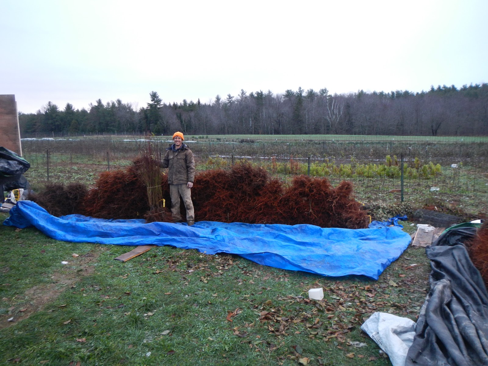 North Branch Farm Stand, Thanksgiving Edition