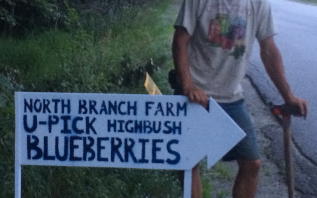 Freezers say, “Fill me with blueberries!”