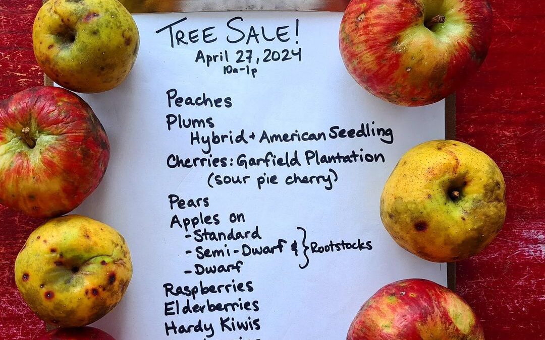 2024 Spring Tree Sale